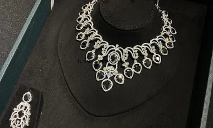 Best Anchor in Ludhiana Punjab